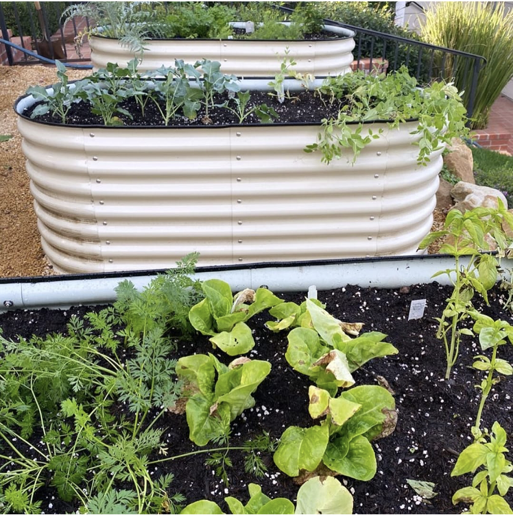 The Advantages Of Making Raised Garden Beds To Grow Vegetables In Your Garden
