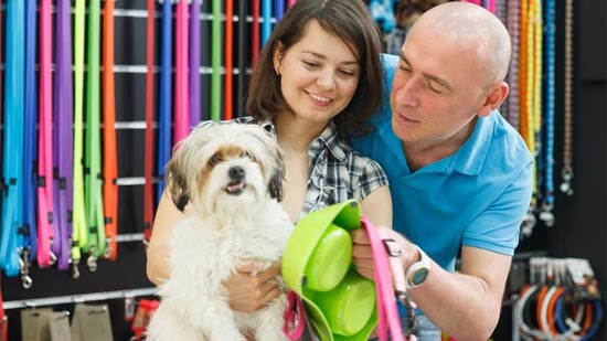 What Aspects Of A Pet Store Are Most Important? Let's Find Out!