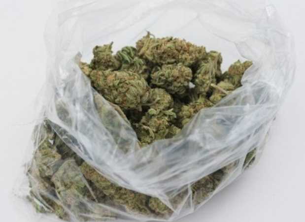 Mylar Bags for Long-Term Cannabis Storage
