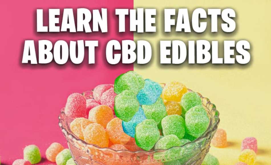 Learn The Facts About CBD Edibles
