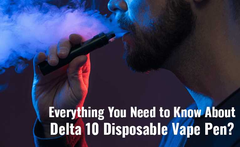 Everything You Need to Know About Delta 10 Disposable Vape Pen