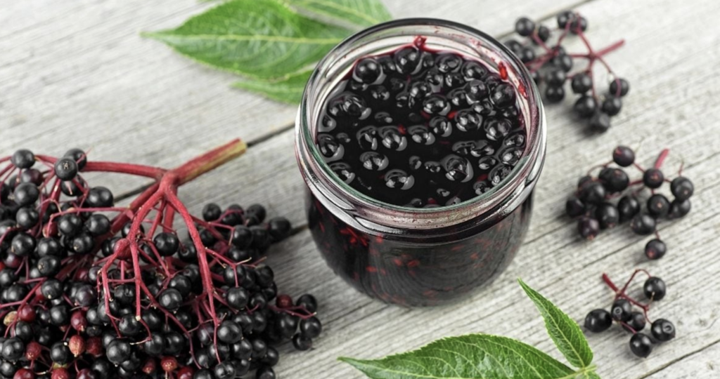 Fresh Elderberry Recipes You Will Love!