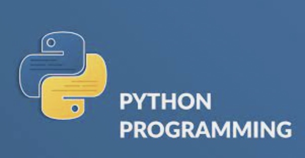 What Are the Best Python Courses in India?