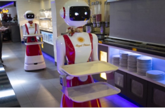 Why Do You Need To Get Service Robot Restaurant