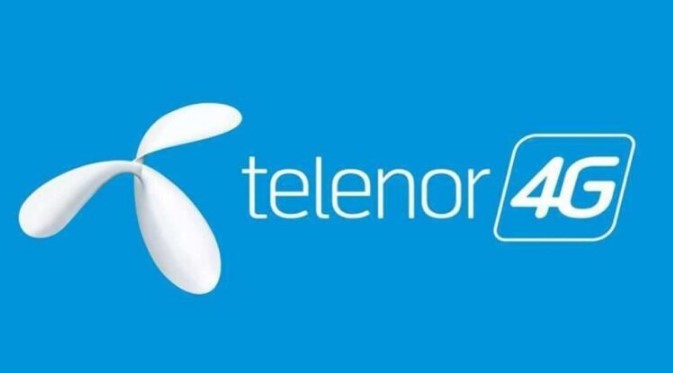 Checking Balance via Telenor Website A Step-by-Step Guide