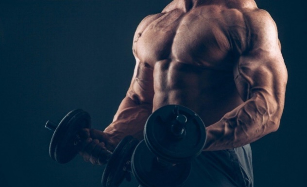 Conquer Home Workouts for Explosive Muscle Growth!